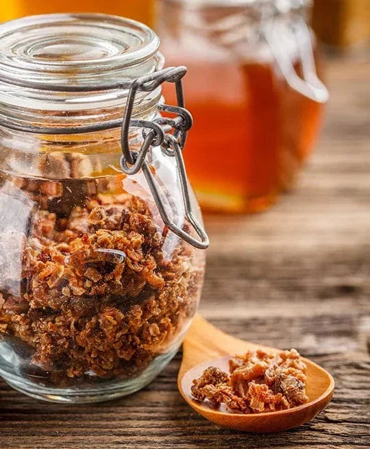 Što je propolis i za što je sve dobar?