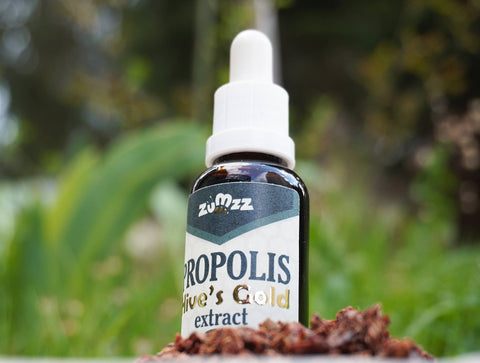 Propolis Tinktur Tropfen
