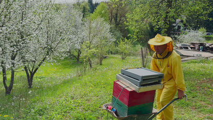 Immunity Mix - Propolis, Pollen & Honey