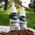 Propolis Tinktur Tropfen